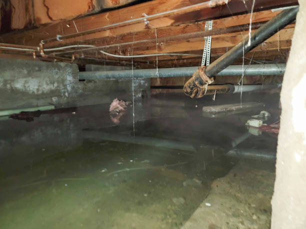 Best Ceiling water damage repair  in Exton, PA