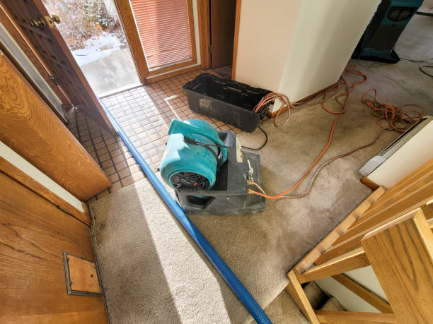 Best 24/7 water damage repair  in Exton, PA