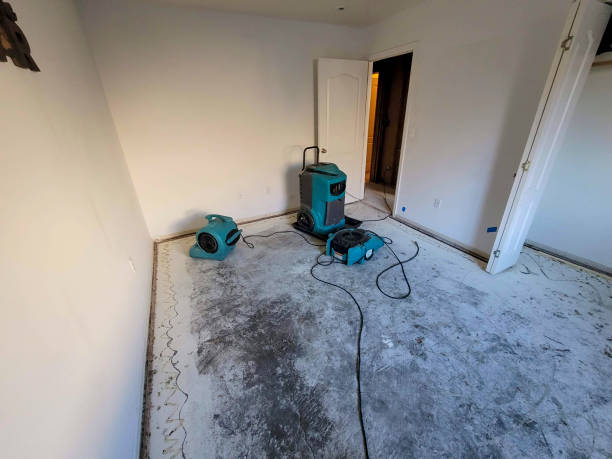 Best Carpet water damage restoration  in Exton, PA