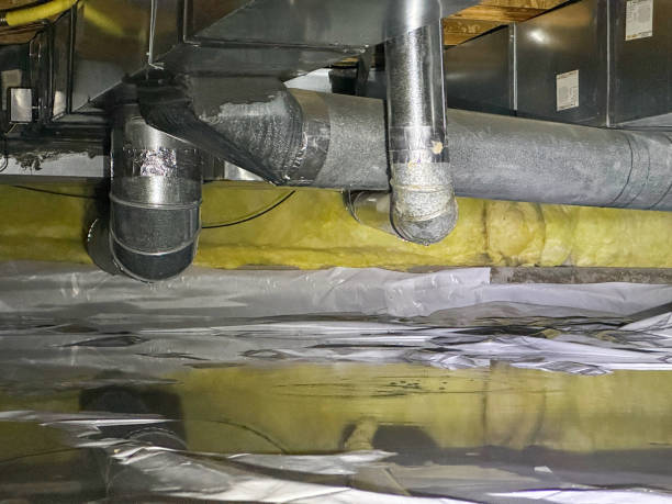 Best Professional water damage repair  in Exton, PA